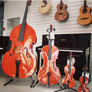 Violin Family