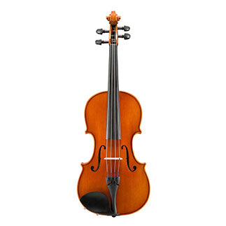 Viola