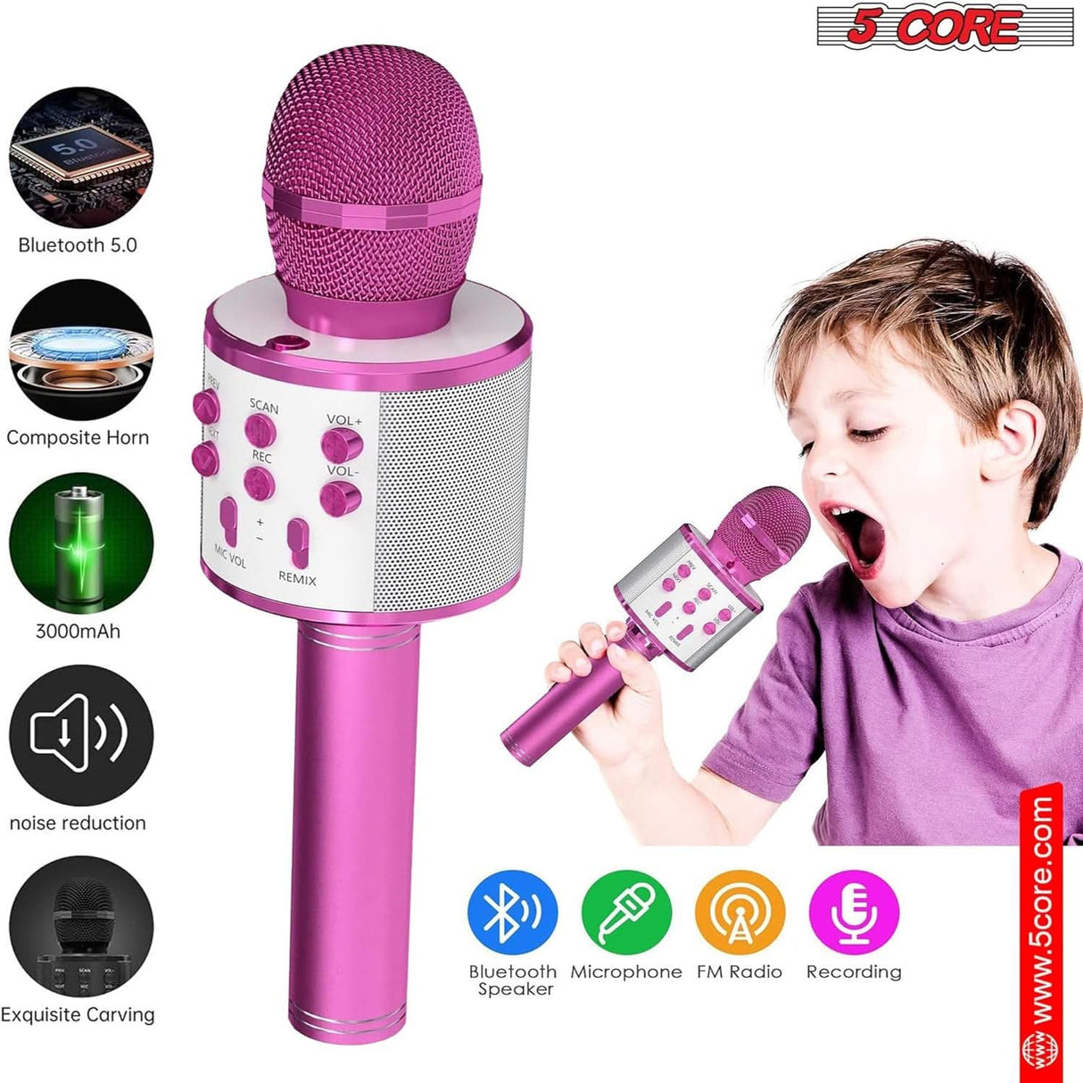 5Core Wireless Bluetooth Mic for Karaoke