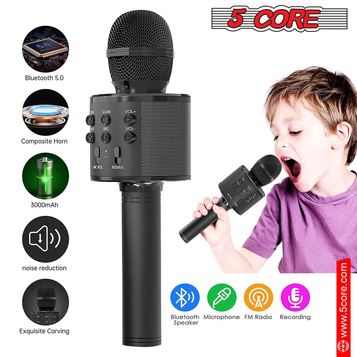 Handheld Cordless Singing Mic