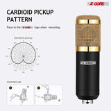 5Core Recording Microphone Podcast Bundle  Professional Condenser Cardioid Mic Kit  w Boom Arm