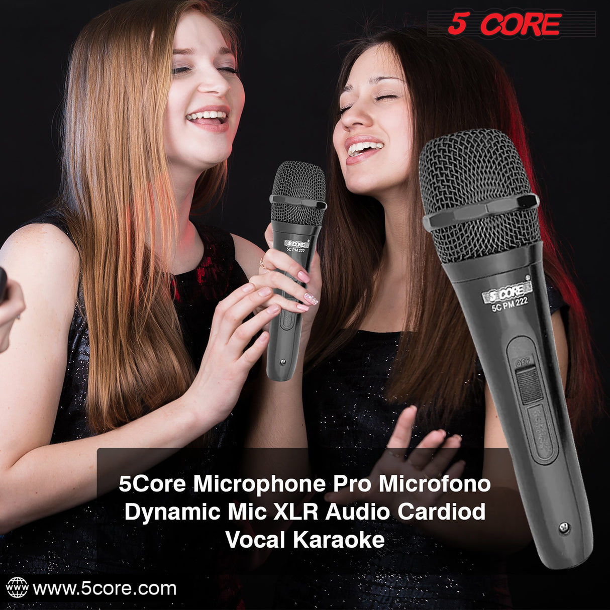 5 Core Professional Microphone Audio Dynamic Cardiod Karaoke Singing Wired Mic Music Recording Karoke Microphone PM 222